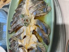 -海派美食·家宴海鲜青岛菜·石锅鲽鱼头(东方城店)