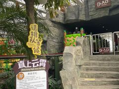 -南宫五洲植物乐园