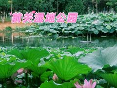 -前关湿地公园