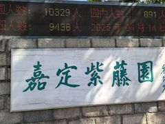 -嘉定紫藤园