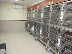 -艾贝尔宠物医院·狂犬免疫点(江山金象城店)