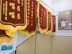 -瑞派蒂凯宠物医院·免疫点·宠保定点