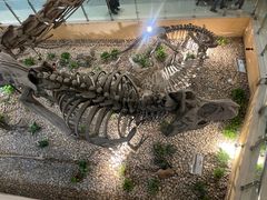 -国家自然博物馆