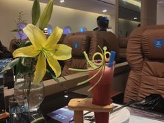 -赫帝拉航空主题餐厅(南宁店)