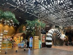 -杭州开元森泊度假乐园