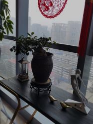 -北京米扬丽格医疗美容·联合丽格鼻整形中心