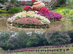 -广州市白云山风景名胜区
