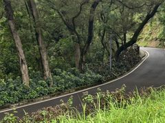 -白云山风景名胜区