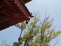 -牛首山文化旅游区