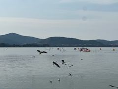 -蠡湖大桥公园