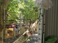 -蝶舍·MAISON PAPILLON