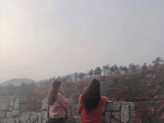 -木兰云雾山