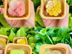 -沁园(南坪上海城店)