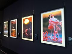 -罗红摄影艺术馆