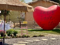 -HERRE·FARM 赫尔露营农场·团建聚会包场