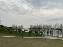 -滆湖低碳生态公园