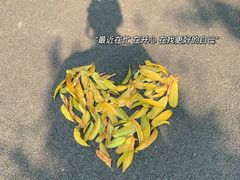 -蒙自源米线大王(花园城商场店)