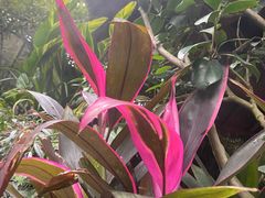 -海兰云天度假区温泉