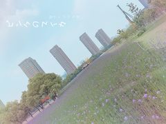 -杭州城北体育公园