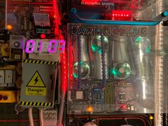 -Darling Queen·Mini·Live·House