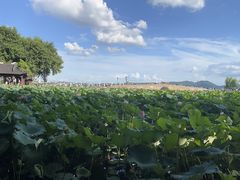 -韶关经律论国际酒店温泉