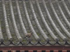 -建基泡馍·西安老字号·清真(永宁店)