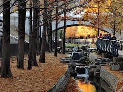 -白水寺森林公园