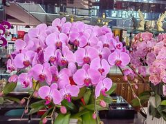 -名典餐厅(铁西立安花园店)