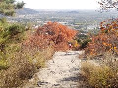 -北京西山国家森林公园