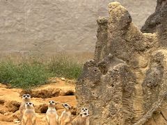 -杭州野生动物世界