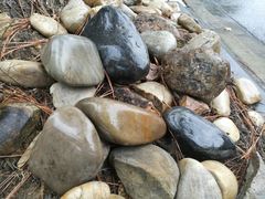 -同济大学(嘉定校区)