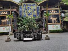 -海南槟榔谷黎苗文化旅游区