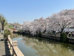 -常熟方塔园