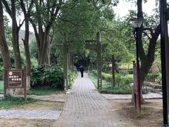 -白马涧龙池景区