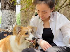 -J Create城市露营咖啡·简餐·宠物(上海动物园店)