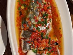 -印象鲵宴·张家界地标美食名片(溪布街店)