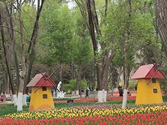 -西宁市人民公园(城西区)