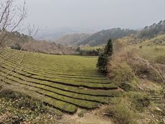 -敬亭山风景名胜区