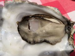 高压锅蒸鲜生蚝-辣小鲜·南昌大排档(船山路店)