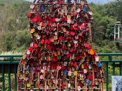 -西双版纳原始森林公园