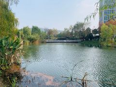 -茶肆(仙林店)