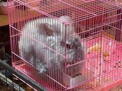 -麦当劳(龙之梦购物中心店)