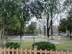 -泰州凤城河风景区-泰山公园