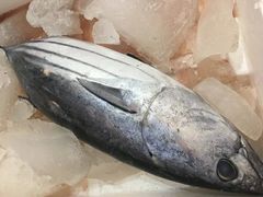 -鲍国演义(禅城店)