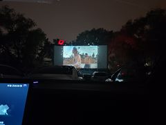 -枫花园汽车电影院(朝阳公园店)