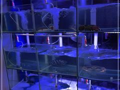 -宴宁汇(星河荟商业中心店)