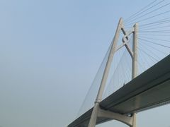 -招商蛇口邮轮母港(观光客运)