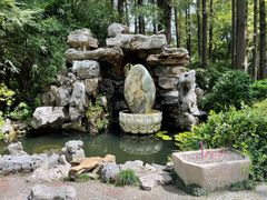 -上海醉白池公园