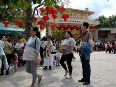 -广东茂名森林公园