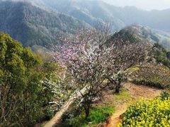 -石潭村